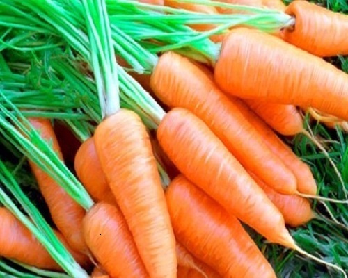 trị mụn với cà rốt