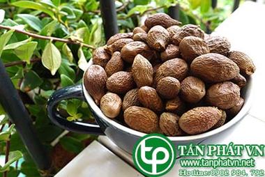 Cung cấp, bán hạt đười ươi tại quận 10 chữa đau lưng