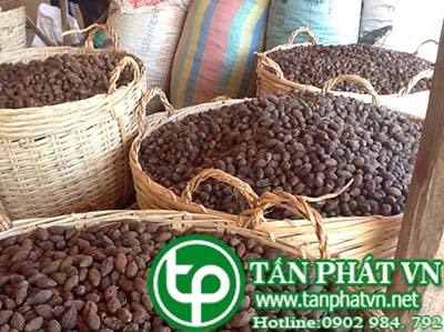 Cung cấp, bán hạt đười ươi tại Quảng Ninh Trị ngộ độc thức ăn