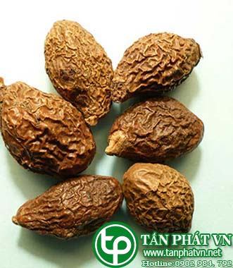 Cung cấp, bán hạt đười ươi tại quận 5 chữa ho khan